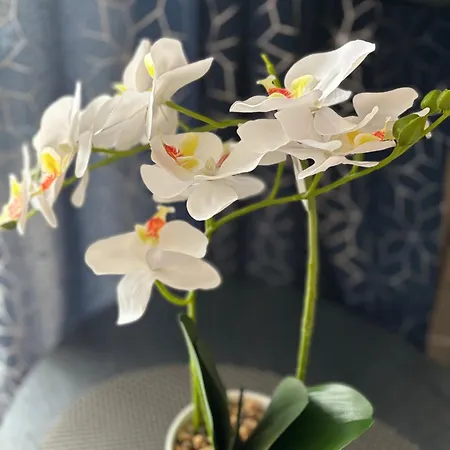 Habitación en casa particular Karina